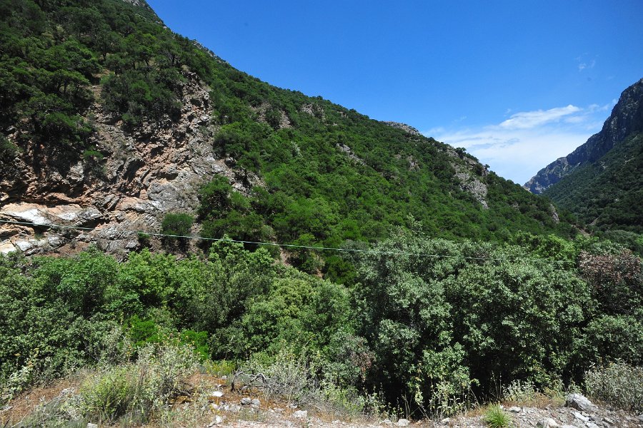 2014.06.18 Zahnradbahn in Griechenland Diakopto–Kalavryta (78)